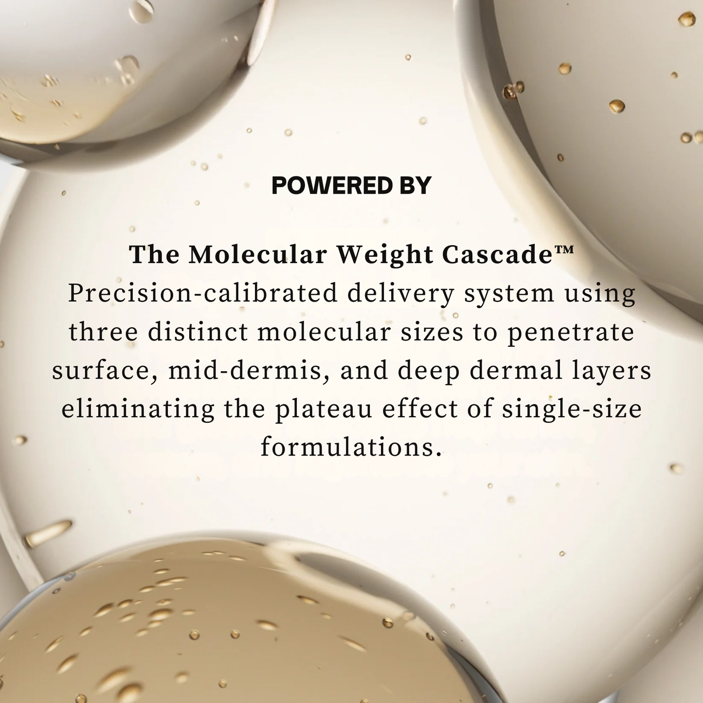 Aurvelia MultiActive Serum™ 2.0 (The Molecular Weight Potocol™